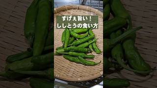 ヤバい！ビールも箸も止まらねぇ！ししとうの簡単おつまみレシピ 疲労回復 ダイエット