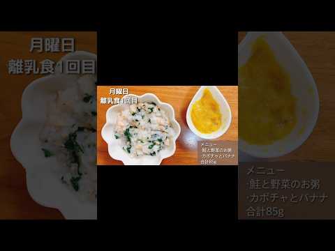 【生後8ヶ月】とある日の離乳食【鮭と野菜のお粥】【カボチャバナナ】 #離乳食 #育児 #子育て