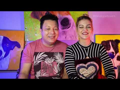 Ep #3 INSERIR | Melhores Momentos | PROGRAMA PETLOVERS