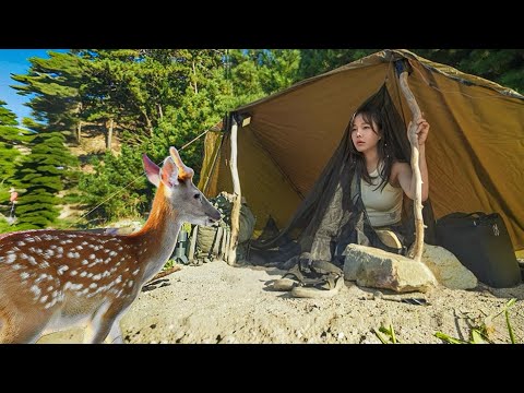 Solo camping on an island where wild deers live🦌🏝️ / Camping in wild