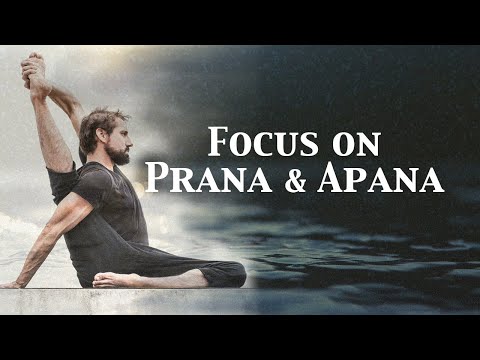 Focus on Prana and Apana | Ty Landrum