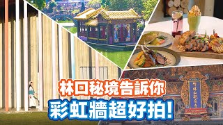 林口輕旅行～網美必踩點！【📍Follow新北】