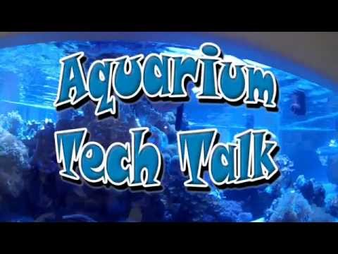 Genesis Renew, LA Fishguys TECH TALK episode 156, part 2