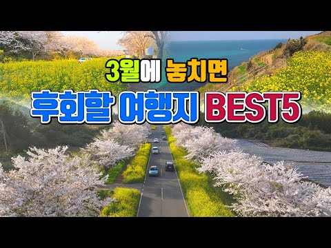 3월에 놓치면 후회할 여행지 BEST5/ 국내여행 추천 /3월 여행지 추천 /3월에 가볼만한곳 /경기도 가볼만한곳 /제주도 가볼만한곳 /광양 여행 /꽃구경 가볼만한곳