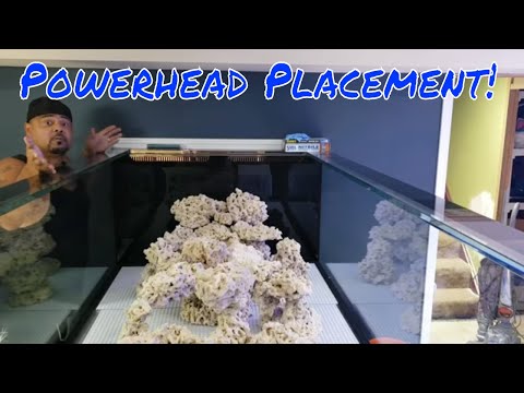 Best powerheads for this huge Aquarium