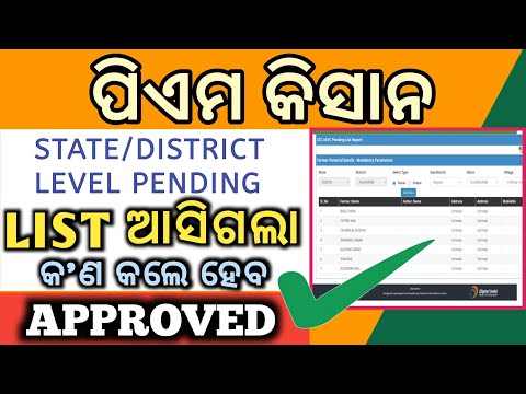 PM KISAN STATE/DISTRICT LEVEL PENDING HOW TO APPROVE//ପିଏମ କିସାନ ପେଣ୍ଡିଙ୍ଗ କାଣା କରିବେ//P INFORMATION