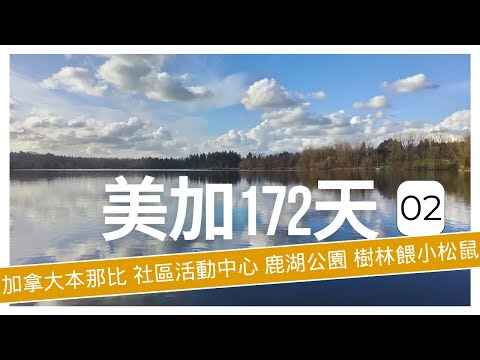 [美加172天]02 加拿大本那比 社區活動中心 鹿湖公園 樹林餵小松鼠