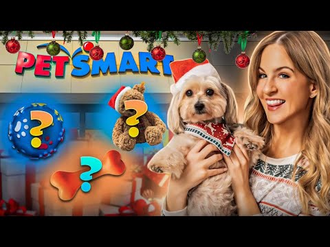 Irish Girl Tries Christmas Shopping in a HUGE American Pet Shop