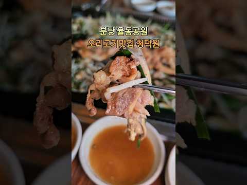 분당 율동공원맛집 청덕원 오리고기