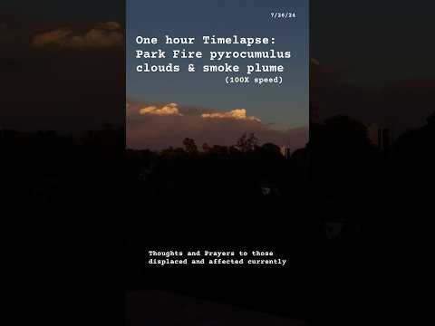 Park Fire Pyrocumulus Clouds | One Hour Timelapse