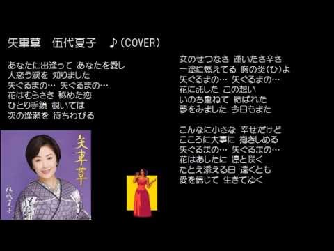 矢車草　伍代夏子　♪（COVER）