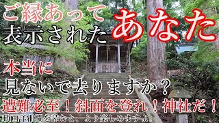 ※神回 急斜面の草木繁る山道を遭難覚悟で登りついた先に3つの社殿が！【福井県越前市 岡太神社・大瀧神社】【祭神：国常立尊 伊弉那諾尊 川上御前】Fukui,beautiful Japan