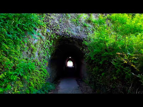 Walk through the Ghibli-world tunnel and down the secret backstreets to Kamakura Station【4K Japan】