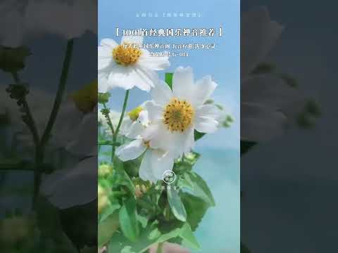 緊張焦慮，心神不安可常聽此樂安穩身心，緩解疲勞，五音宮調。# 五音療愈#國樂#弘揚國樂#中國樂器#音藥靜心純音樂分享古風音樂國風古韻