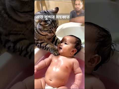 এত সুন্দর মোহাব্বত #motivation #video #funny #cute