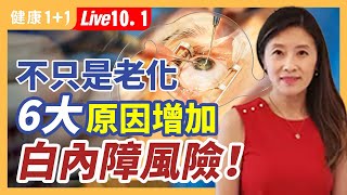 治療白內障可以同時搞定青光眼、老花？（2022.10.01)| 健康1+1 · 直播