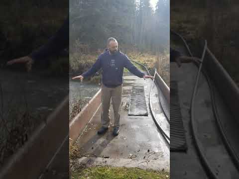 Bridge Building Over Our Creek - #Shorts