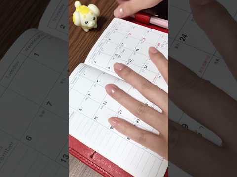 【手帳タイム】11月30日❄️セリア手帳に文字を書く動画 【2倍速┊︎ASMR】