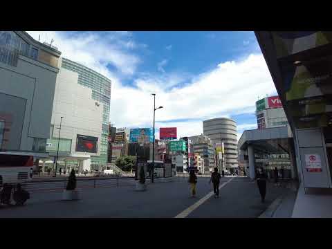 Tokyo Travel | Busy day in Shinjuku