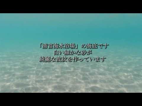 鳥取県 岩美町「浦富海水浴場」