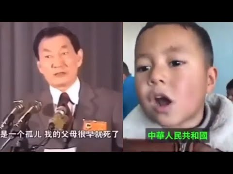 党妈的孩子是如何形成的？ How are Party Children formed?😁