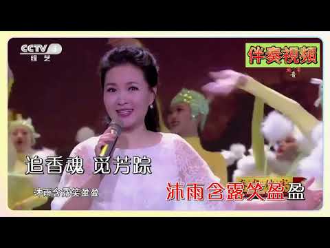 雷佳 無名花 KTV 伴奏 no vocal 無人聲 music 純音樂 karaoke 卡拉OK 伴唱 雷佳 无名花