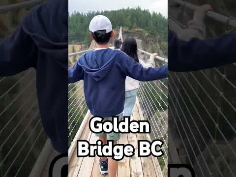 Golden Bridge BC #familytimefun #goldenbridge #happykids #diylandscaping short