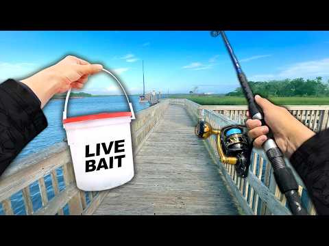 Eating Whatever I Catch.. Fishing a Public Dock (Catch and Cook)