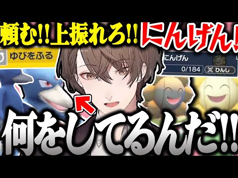 【面白まとめ】うわぶれ（ゴルダック）のゆびをふるで大興奮する社長のポケモンSVが面白過ぎたｗ【加賀美ハヤト/ポケモンSV/にじさんじ/切り抜き】