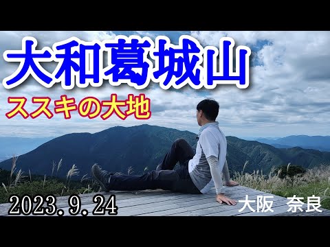 大和葛城山  ススキの大地