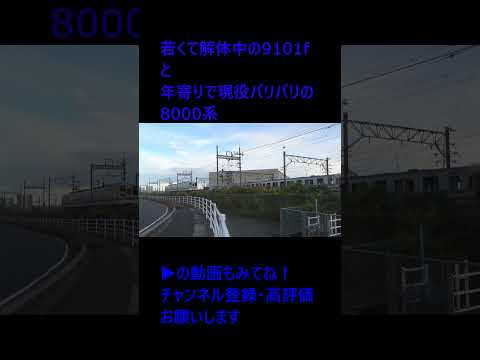 若くして解体中の9101fと年寄りで現役バリバリの8000系 撮影 2023年10月29日 15時48分 北館林解体所 #shorts