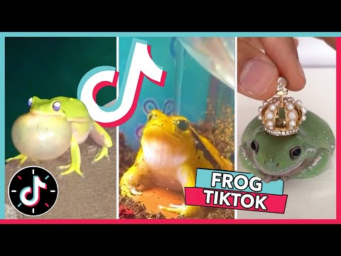 WELCOME TO FROG TIKTOK 🐸 2021 Frog Tik Tok Compilation