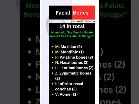 Skull Bones - Facial Bones #facialbones