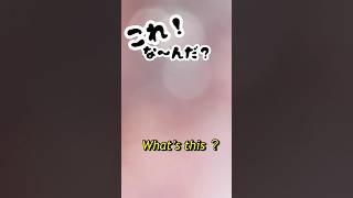 【これ！な〜んだ？What’s this ？】304#shorts