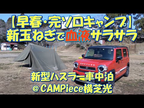 【早春・完ソロキャンプ】新玉ねぎで血液サラサラ 新型ハスラー車中泊@CAMPiece横芝光