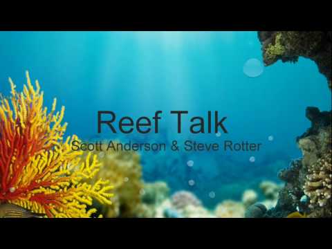 Where are Our Reef Tanks Headed (Reef Talk)