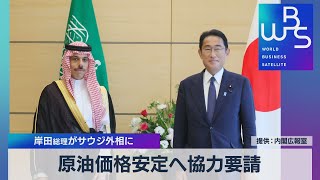 原油価格安定へ協力要請　岸田総理がサウジ外相に【WBS】（2022年7月19日）