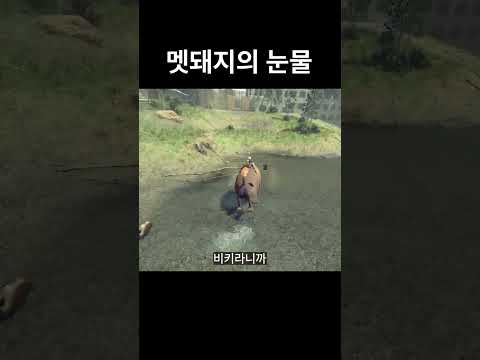 탈것 죽이기ㅣ#shorts #게임 #니어오토마타  #rpg게임 #스팀게임#도경