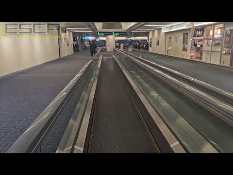 Haneda Airport Moving Walkway Terminal 1