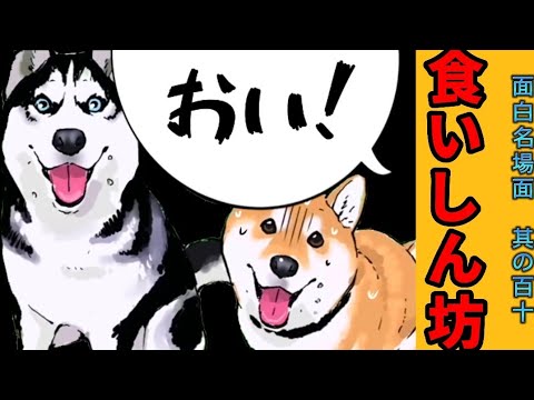 【世界の終わりに柴犬と】切り抜き編集 # 110《食い意地（笑）特集です。 》 #世界の終わりに柴犬と #アニメ #柴犬