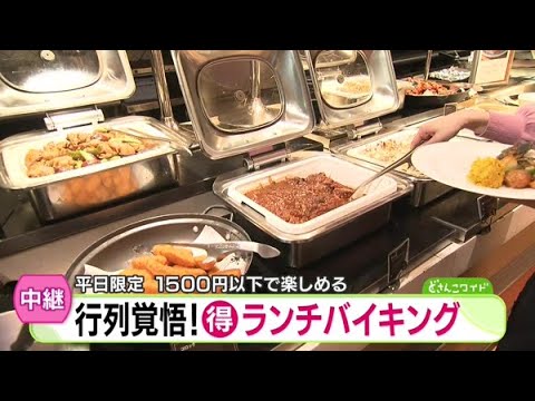 平日限定！1500円以下で楽しめる！行列覚悟！お得ランチバイキング【どさんこワイド179】2024.12.09放送