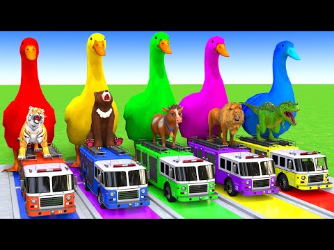 5 Giant Duck Cartoon,Cow,Elephant,Tiger,Lion,Dinosaur,Paint Wild Animals Crossing Fountain Animation