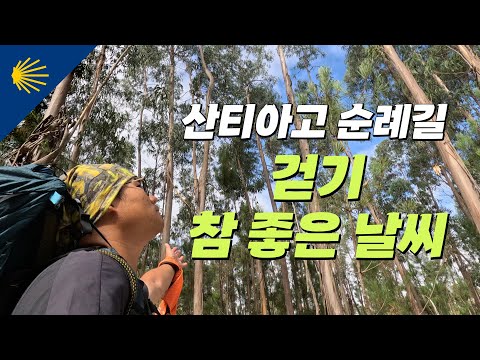 최적의 날씨, 걷기 참 좋은 산티아고 순례길 | 산티아고 순례길 포르투갈길 Ep.7 🇵🇹