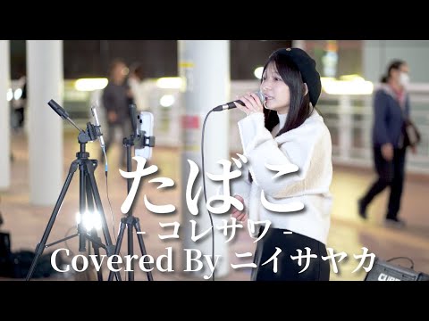 【海老名】たばこ(コレサワ)/ニイサヤカ 【路上ライブ】