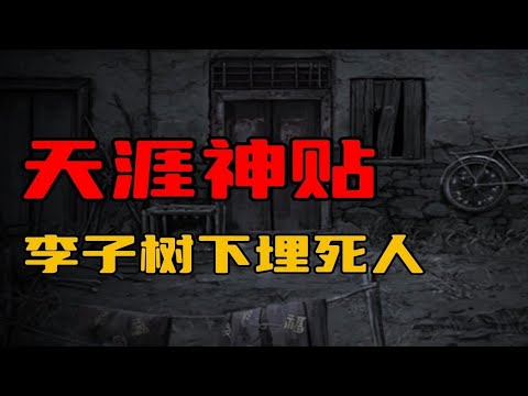 【天涯神贴】桃养人，杏伤人，李子树下埋死人!