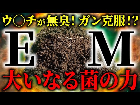 【EMは魔法か？】一瞬でニオイ消滅、がん克服…　日常から環境を変える菌のチカラ【EM さやか菌まみれ】@EMsayach