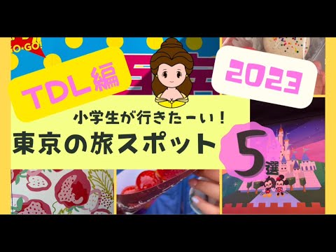 東京で遊ぶ❷ ディズニーランド編