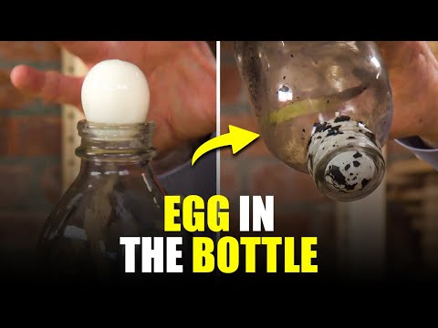 Egg In The Bottle