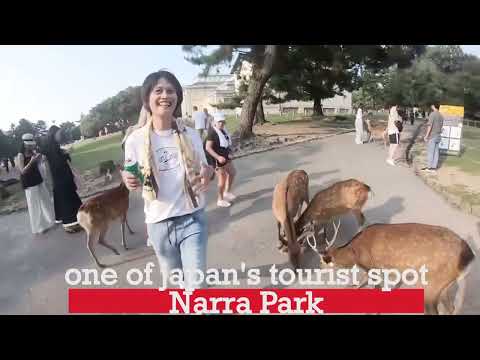 Narra Park  one of Japan's tourist spot