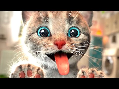 Animated Little Kitten Adventure - Preschool and kindergarten learning Cartoon Education for kids😺